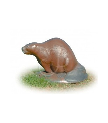 Cible 3D AA Castor