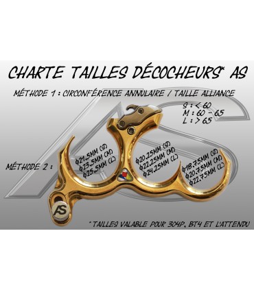 Décocheur ARC SYSTEME 304 P  2019