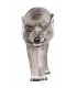 Cible 3D CENTER POINT Loup