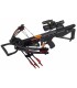 Arbaléte CARBON EXPRESS Varmint 175 Lbs avec Accessoires