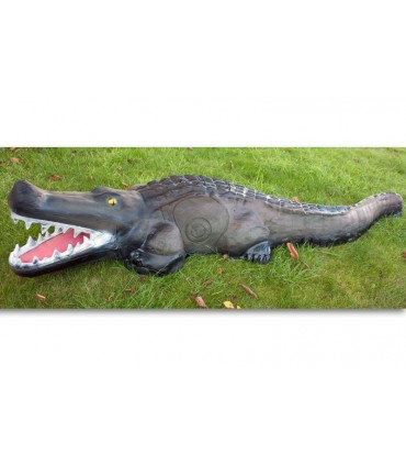 3D CAIMAN
