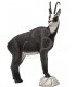 3D CHAMOIX ÉTÉ