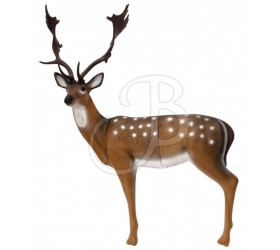 Cible 3D SRT Daim