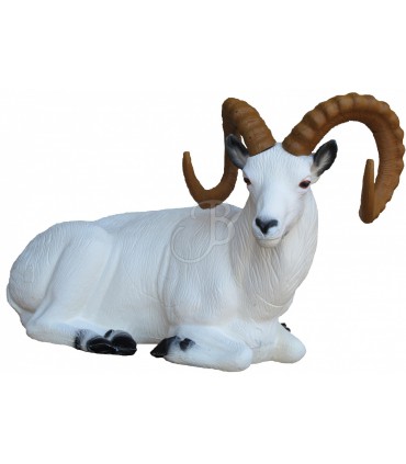 3D MOUFLON DE DALL ASSIS