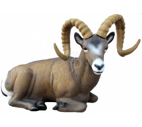 Cible 3D SRT Mouflon Canadien