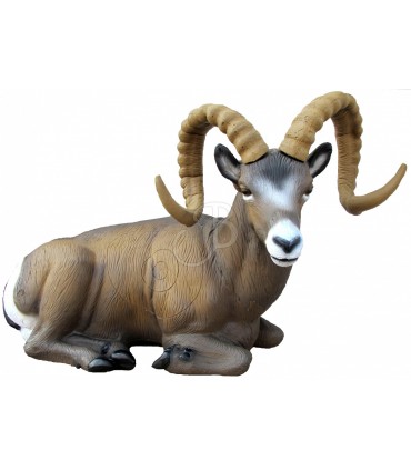3D MOUFLON CANADIEN ASSIS