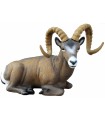 3D MOUFLON CANADIEN ASSIS