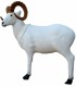 Cible 3D SRT Mouflon de Dall