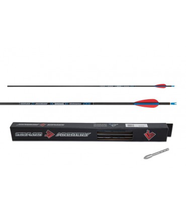 flèche Carbone AVALON CLASSIC  4.2  Par 12