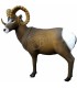 Cible 3D SRT Mouflon Canadien