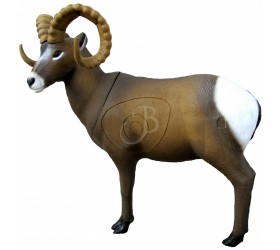 Cible 3D SRT Mouflon Canadien