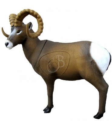 3D MOUFLON CANADIEN