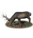 Cible 3D AA Cerf rouge qui boit