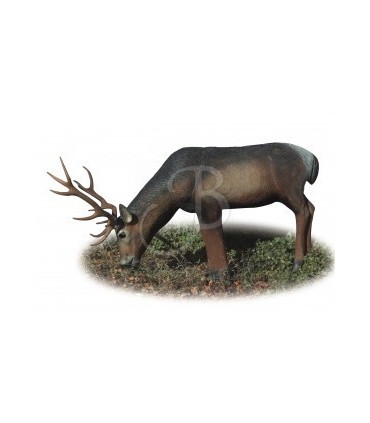 Cible 3D AA Cerf rouge qui boit