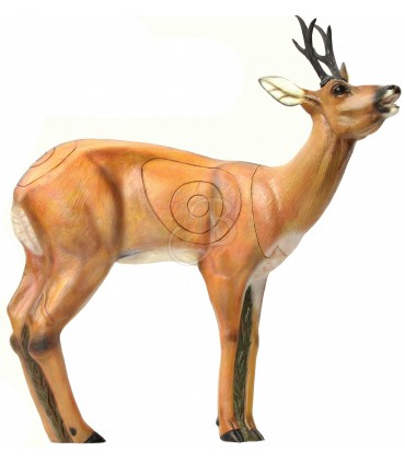 Cible 3D SRT Chevreuil