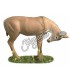 Cible 3D AA Cerf tête tournée