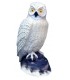 Cible 3D SRT Chouette Blanche