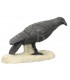 Cible 3D SRT Corbeau