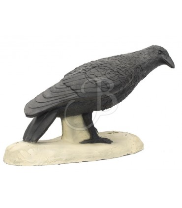 Cible 3D SRT Corbeau