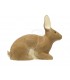Cible 3D SRT Lapin