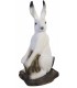 Cible 3D SRT Lapin des Neige