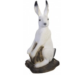 Cible 3D SRT Lapin des Neige