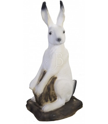 Cible 3D SRT Lapin des Neige