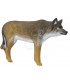 Cible 3D SRT Loup