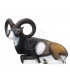 3D MOUFLON CORSE ASSIS