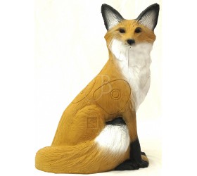 3D RENARD