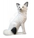 Cible 3D SRT Renard Blanc