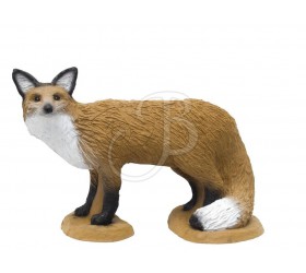 3D RENARD