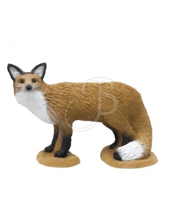 3D RENARD