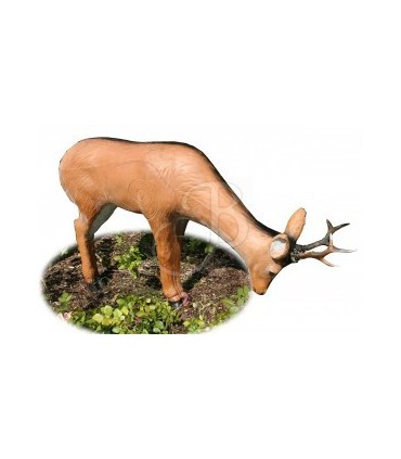Cible 3D AA Chevreuil qui boit
