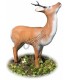 3D CHEVREUIL QUI MANGE