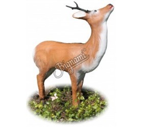 Cible 3D AA Chevreuil qui mange