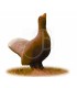 Cible 3D AA Coq de Bruyere