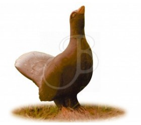 Cible 3D AA Coq de Bruyere