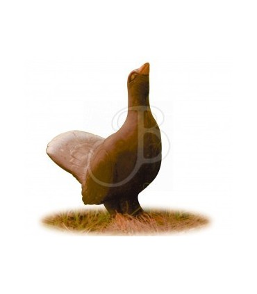 Cible 3D AA Coq de Bruyere