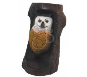 Cible 3D AA Hibou dans un tronc