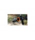 copy of SHREWD ARCHERY SUN SHADE 35 SCOPE 1 SH REAR