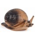 3D ESCARGOT