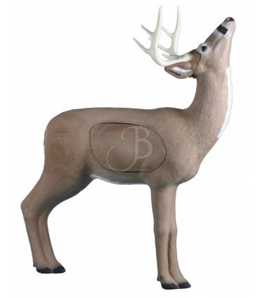 Cible 3D RINEHART Browsing Buck