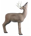 Cible 3D RINEHART Browsing Buck