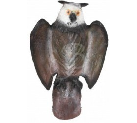 Cible 3D AA Hibou