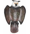 3D HIBOU