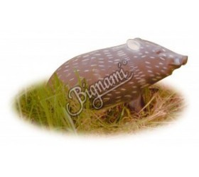 Cible 3D AA Javelina