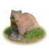 3D MARMOTE