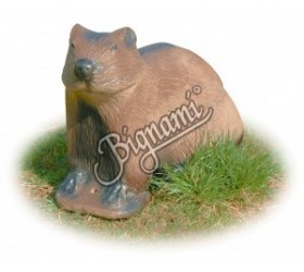 Cible 3D AA Marmote