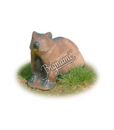 3D MARMOTE